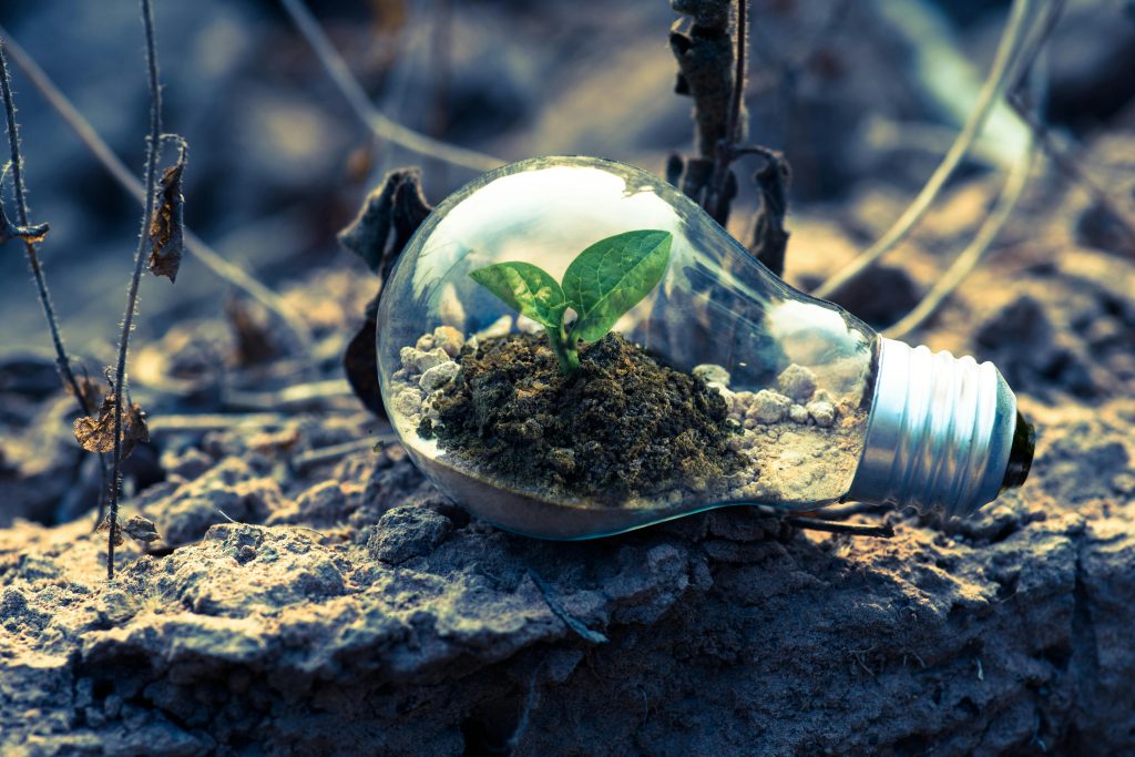 Green Tech Revolution: How Technology is Powering Sustainability